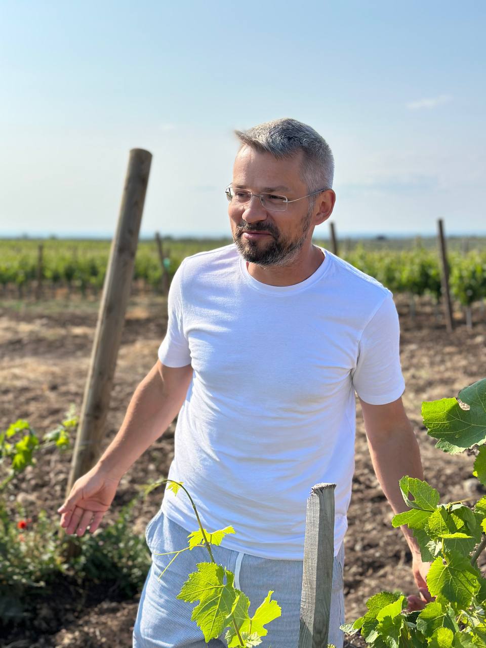 Портрет: Дмитрий Вишневецкий среди молодых лоз